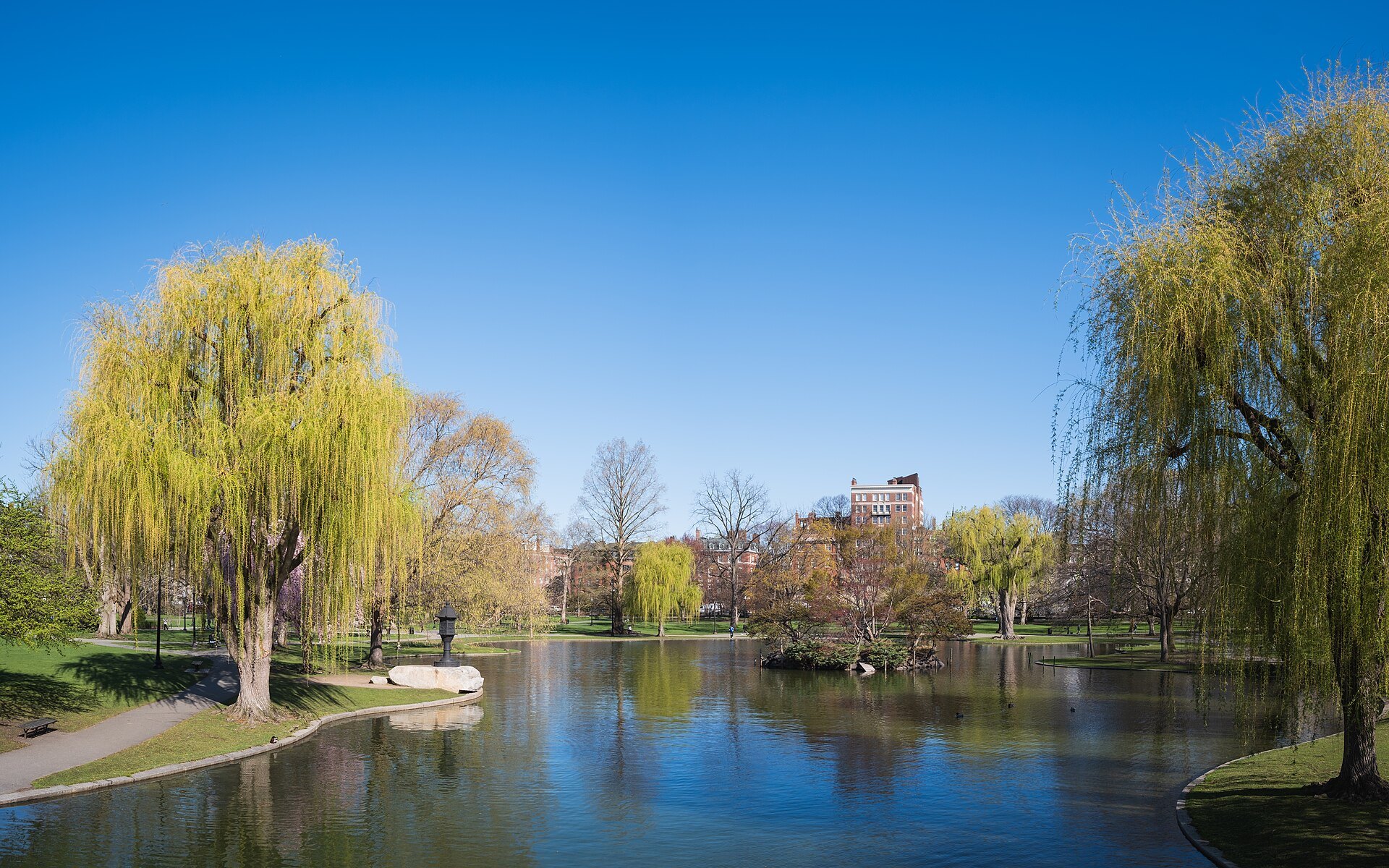 The lagoon of the Public Garden between weeping willows, with the towers of the Back Bay beyond