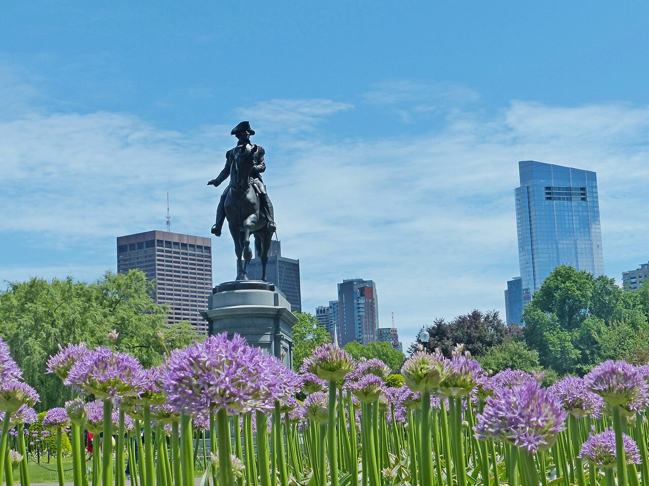 Washington's statue above purple alliums in the Public Garden