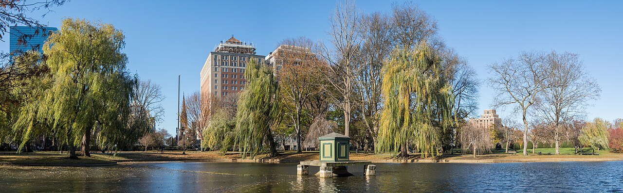 The Public Garden lagoon between willows in autumn, seen end to end