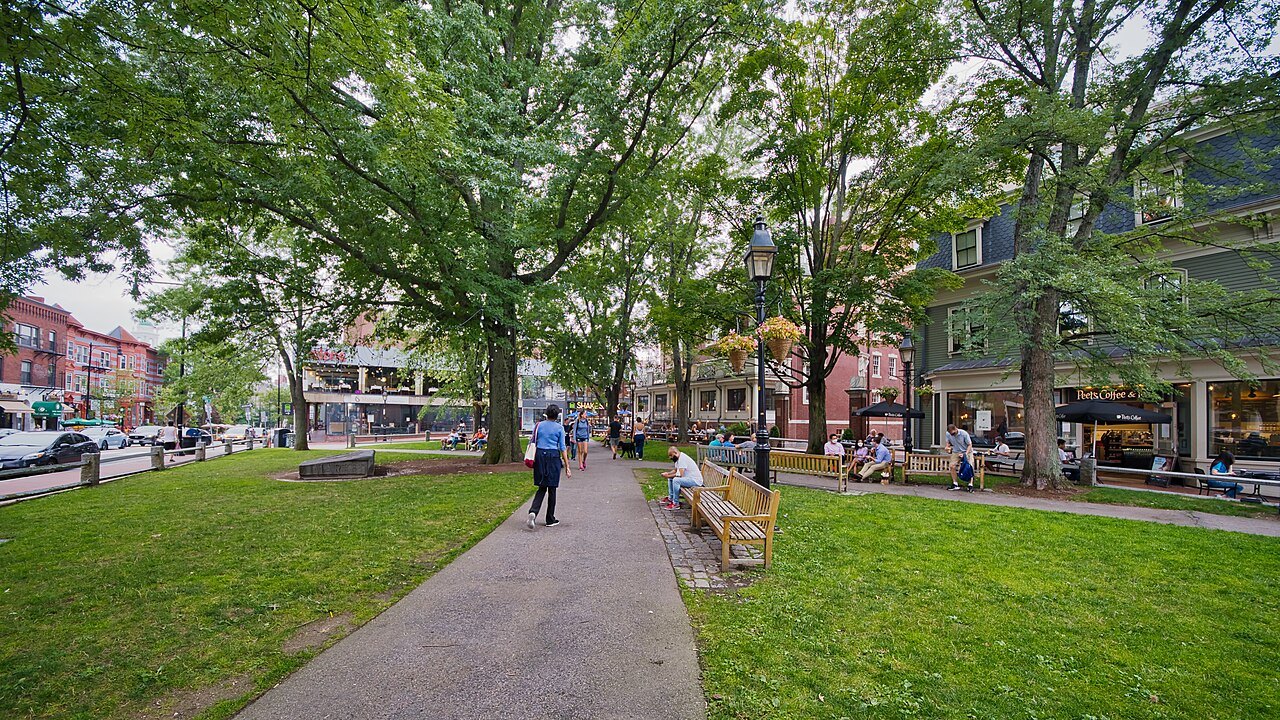 Winthrop Park near Harvard Square, a small green under tall trees