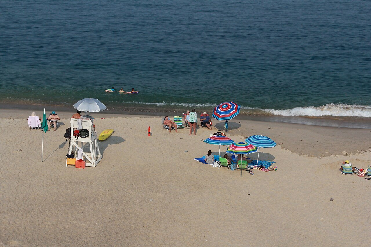 Umbrellas and swimmers on an ocean beach below the dunes, seen from the bluff
