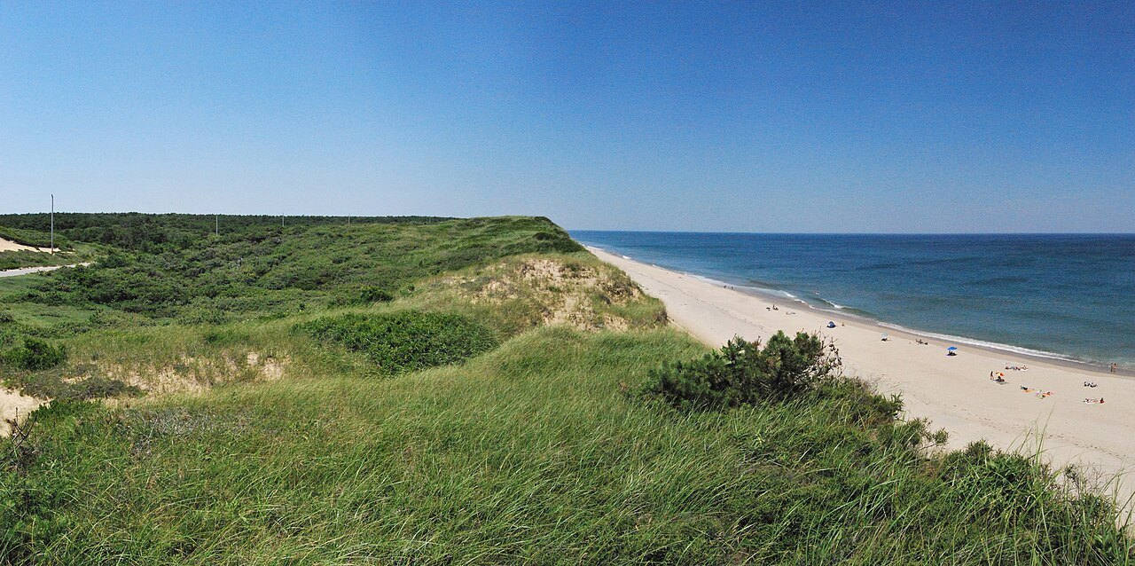White Crest Beach in Wellfleet, beach grass and sand cliff falling to the ocean