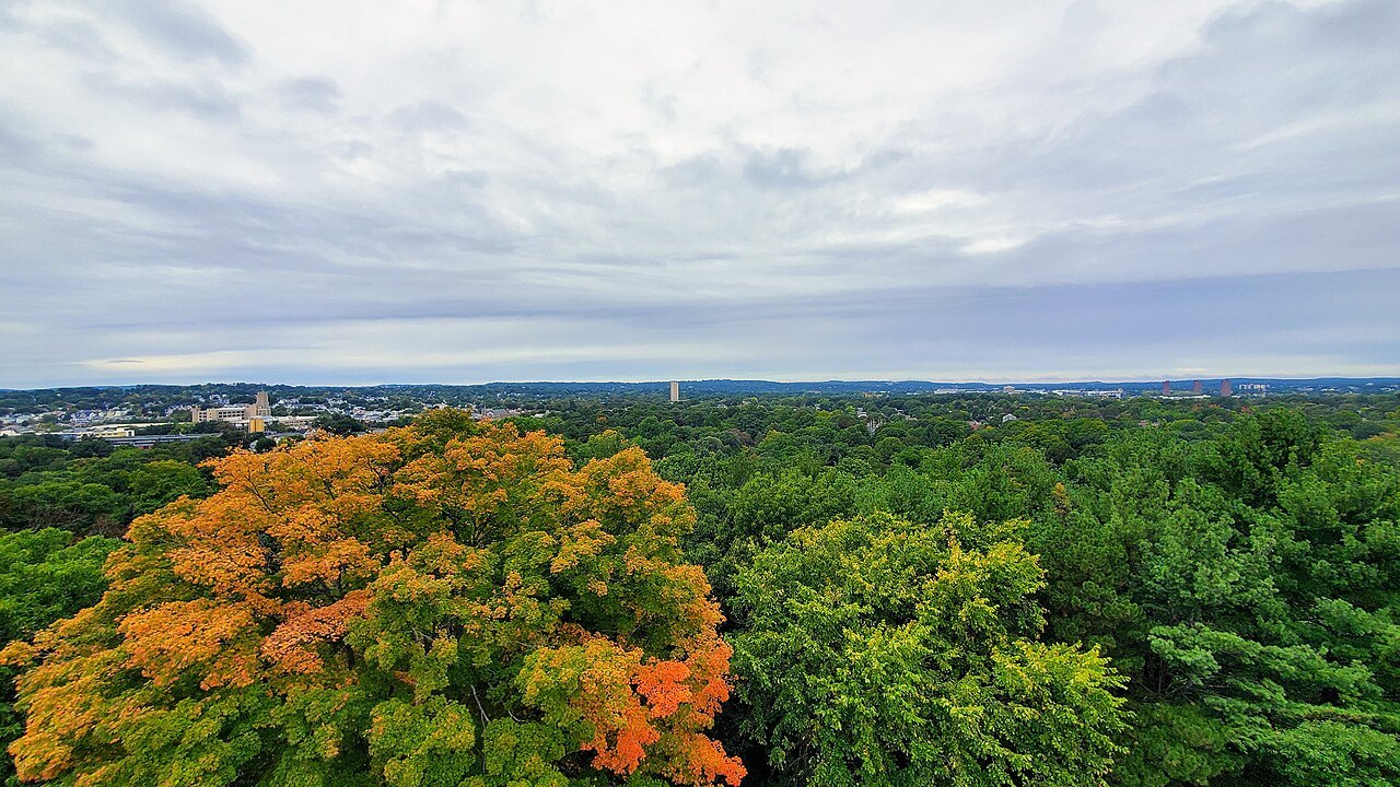 Autumn treetops and the distant city, looking west from Mount Auburn Cemetery