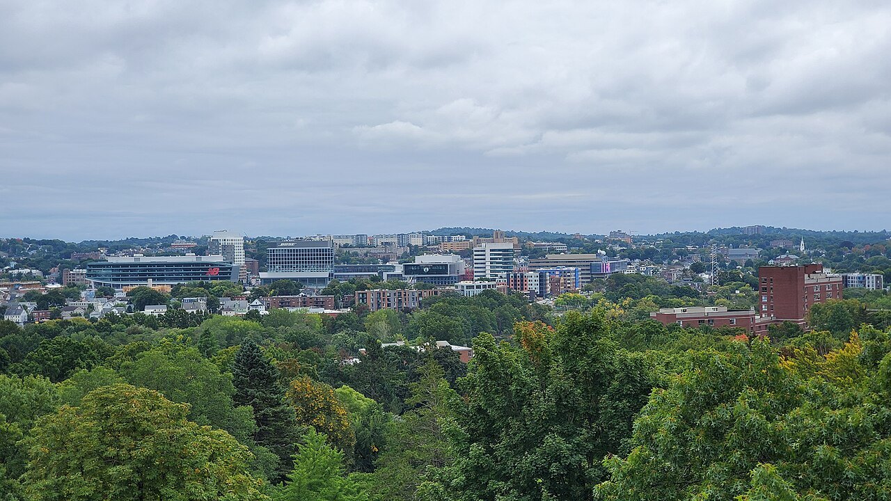 Green treetops and the rooftops of Brighton from Mount Auburn Cemetery