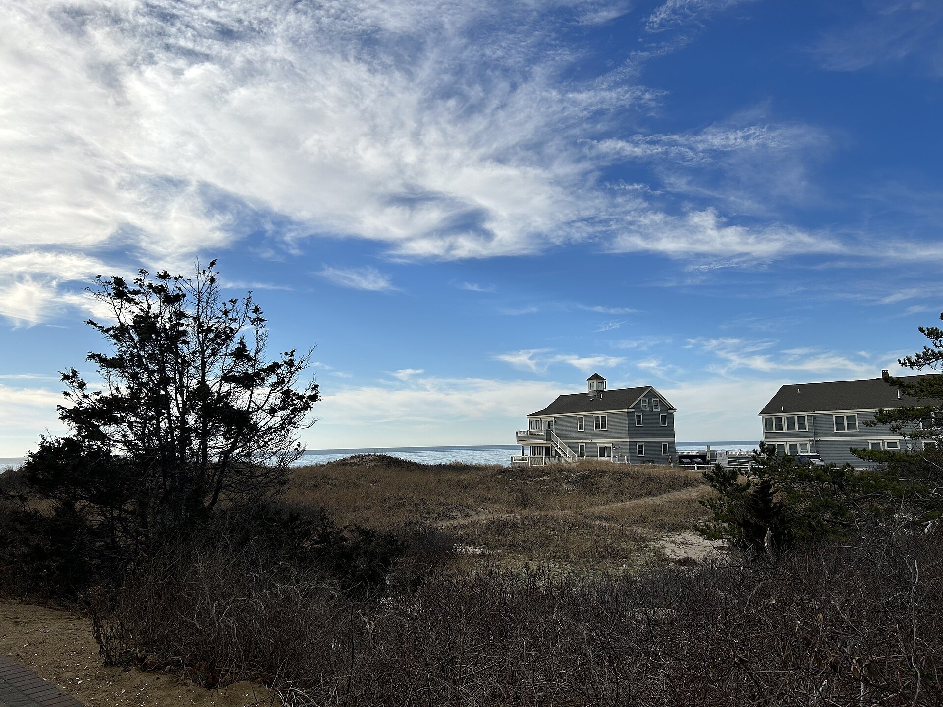 Shingled houses among the dunes and pines of the Cape Cod shore