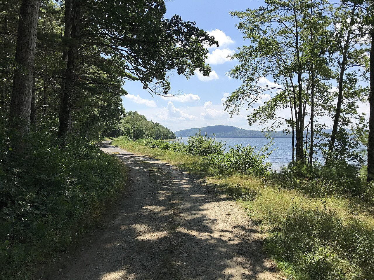 A shady track along the Quabbin Reservoir in Petersham