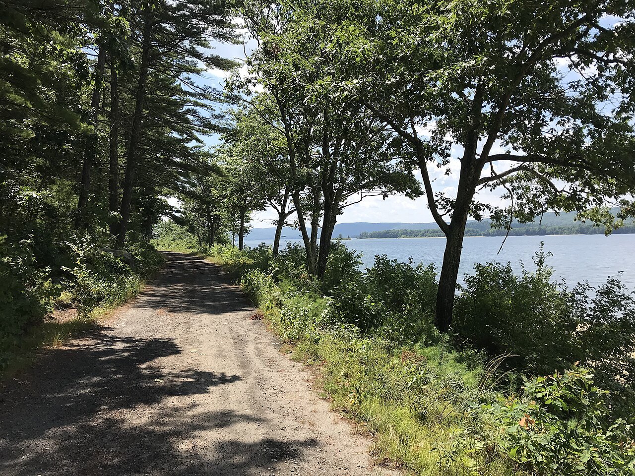 A path along the wooded shore of the Quabbin Reservoir in New Salem