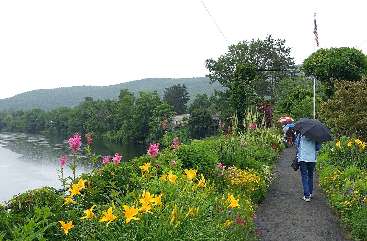 A walker with an umbrella on the Bridge of Flowers, lilies in bloom