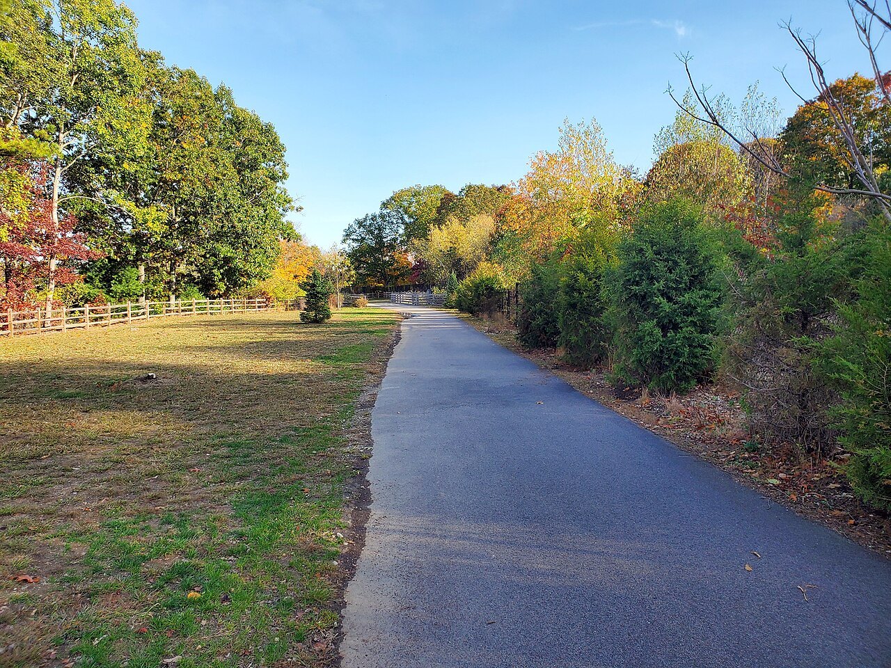A paved trail beside a meadow edged with autumn trees
