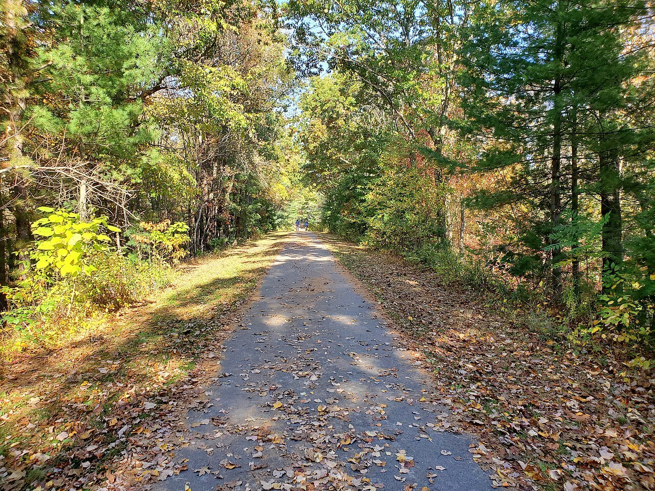 A paved rail trail through the golden woods of Bellingham in October