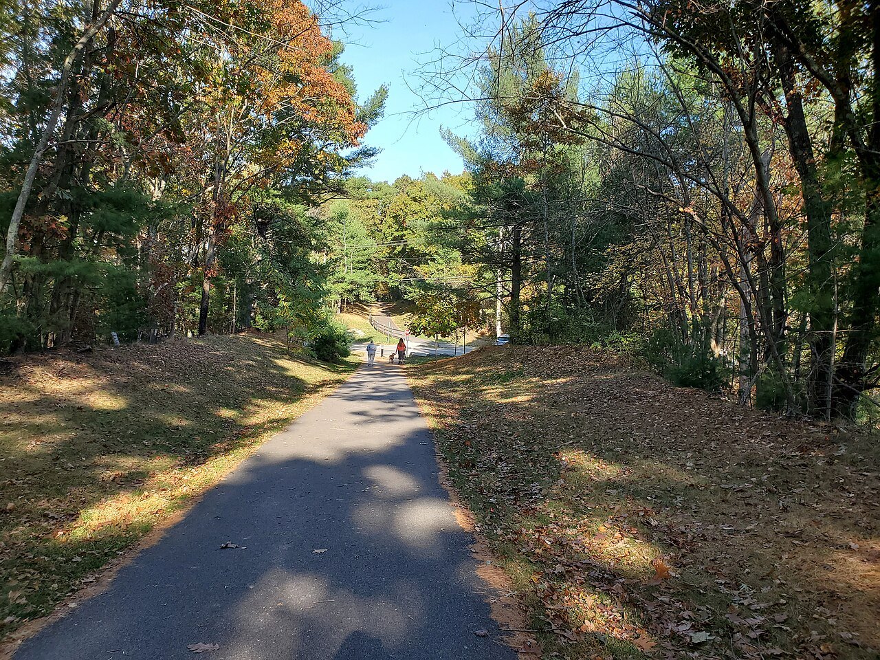 The rail trail dipping through autumn woods toward a road crossing