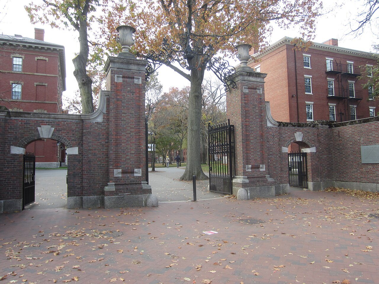 Harvard Yard