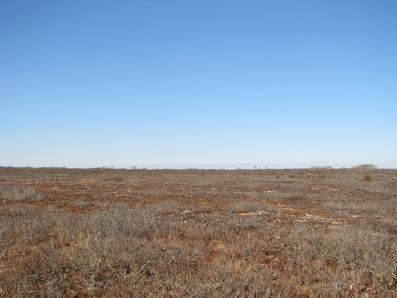 Open moorland in the island's interior under a clear sky