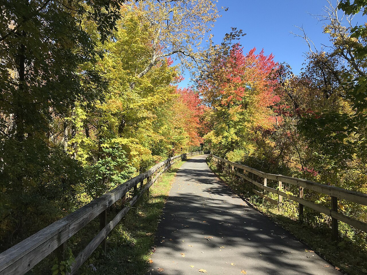 The Manhan Rail Trail between autumn trees