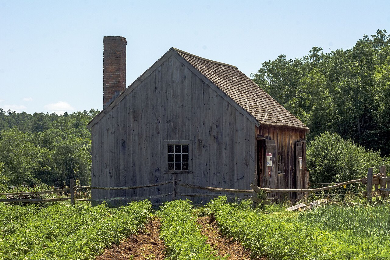The weathered Cooper Shop above a garden planted in rows