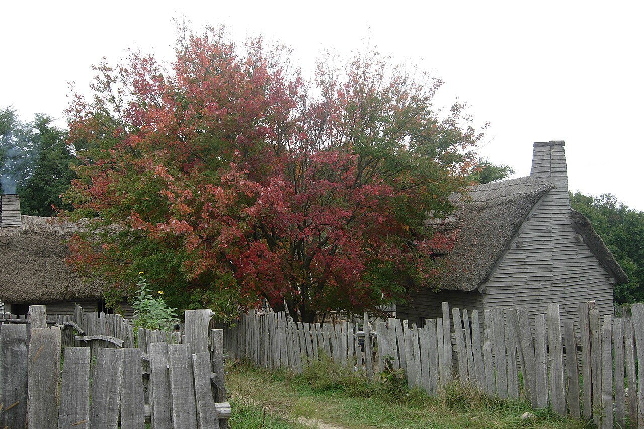 Autumn color over the paling fences and thatched roofs of the village