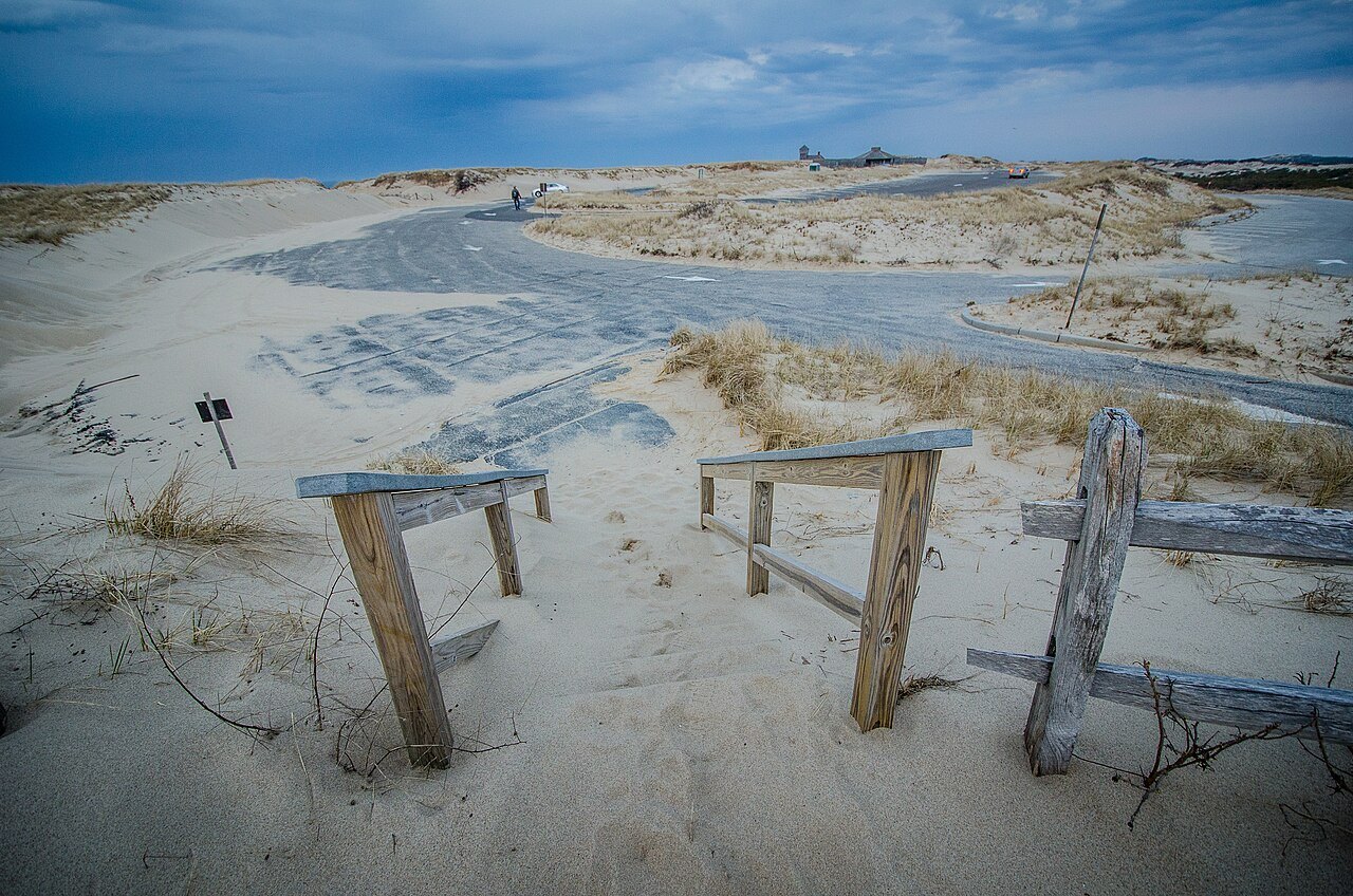Old sand fences half buried in the dunes of the Province Lands