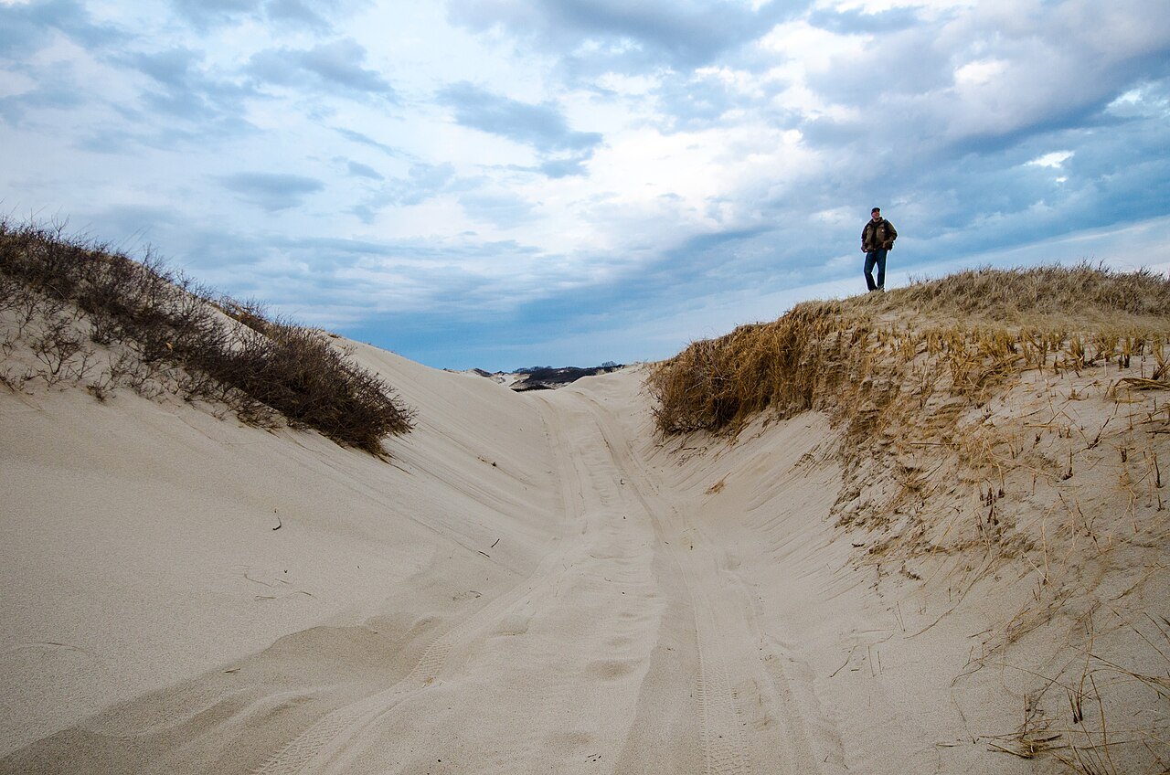 A walker on the crest of a sand dune in the Province Lands