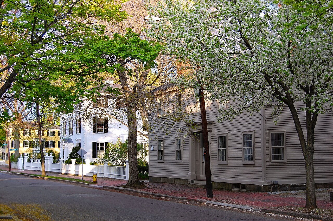 White clapboard houses under spring blossom in the Federal Street district