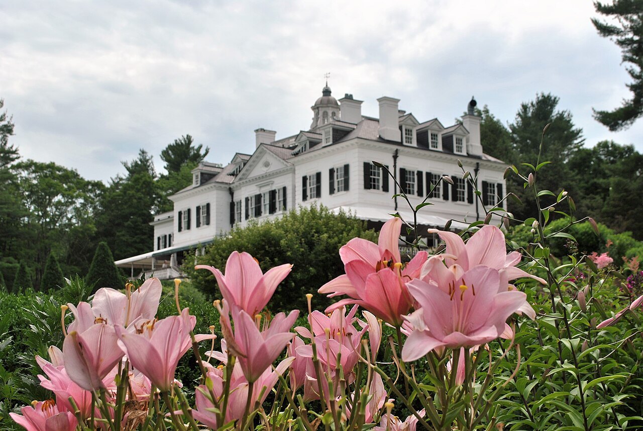 Pink lilies in front of the Mount's white walls and dark shutters