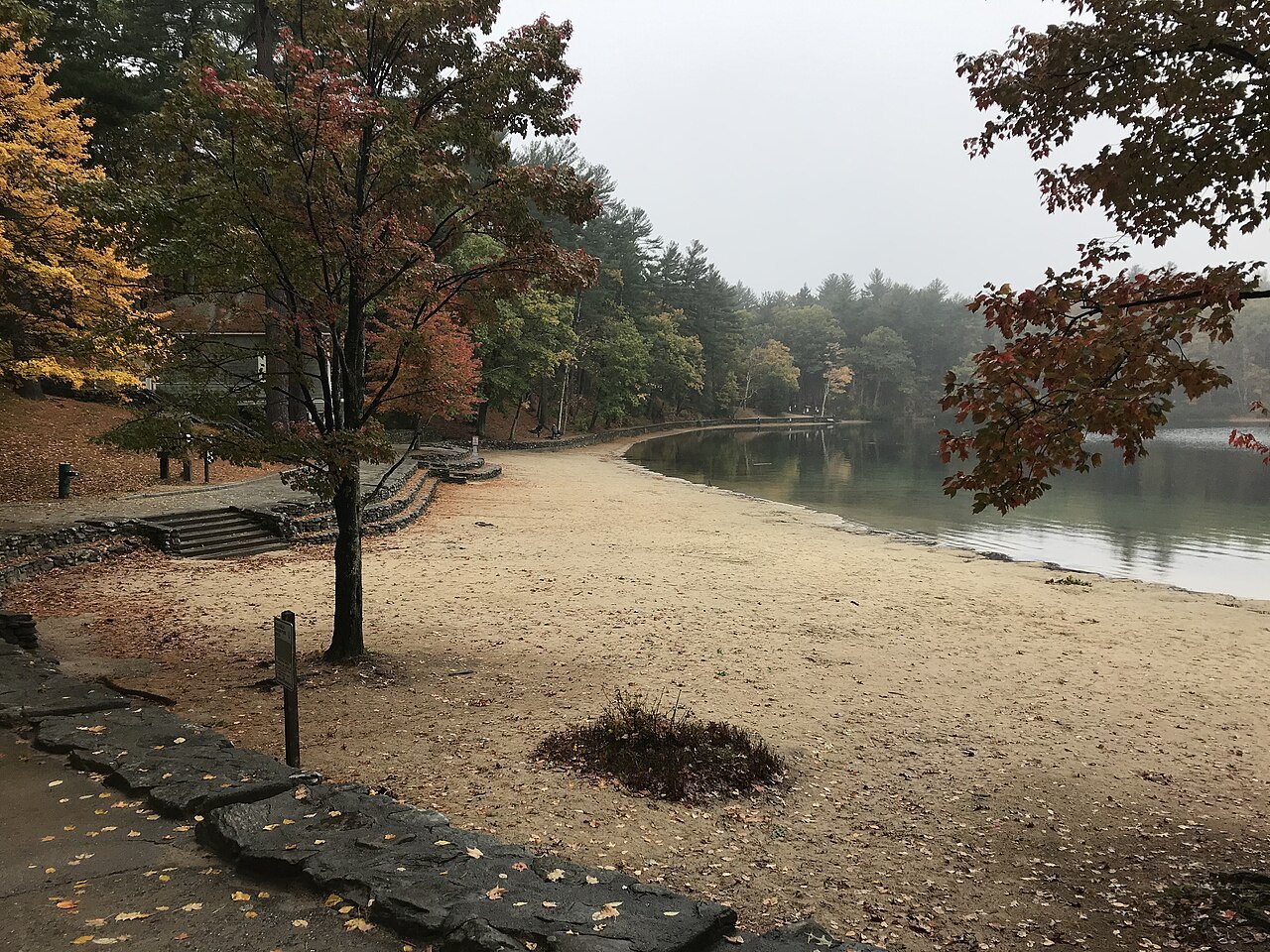 The beach in autumn, the shore curving away under red and gold trees