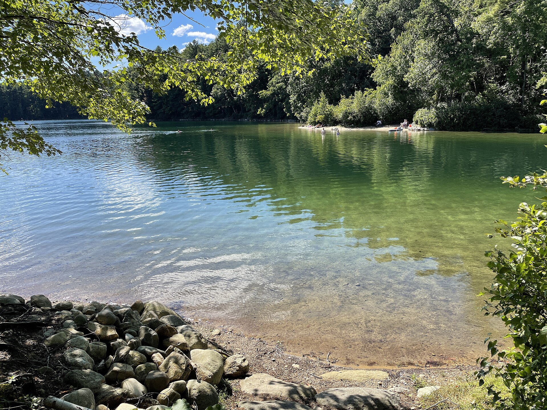 The clear green water of Walden Pond along its stony shore